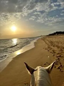 Algarve Lejlighed Albufeira